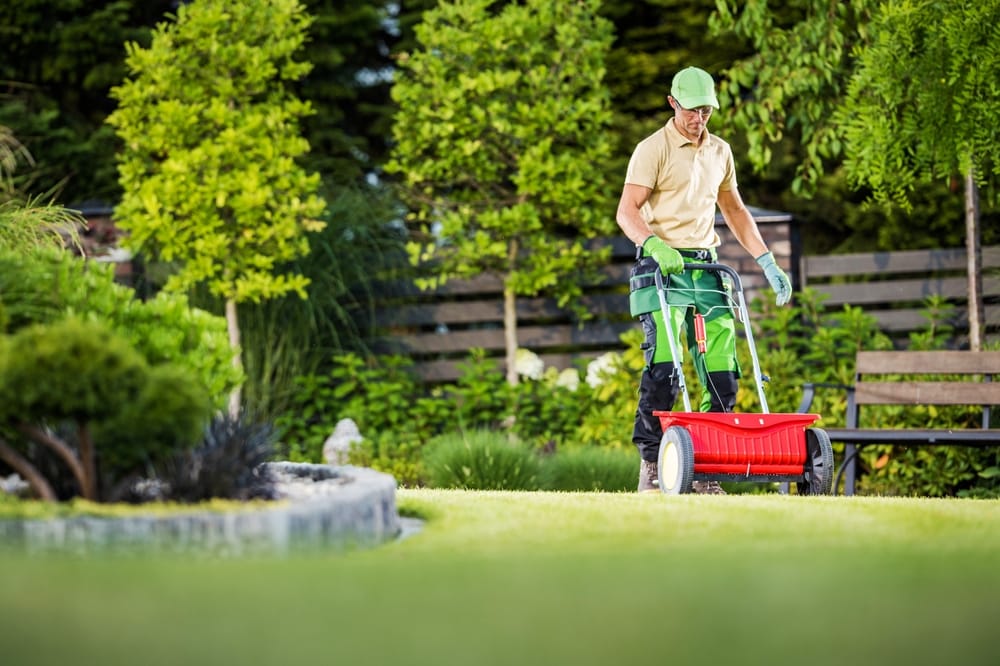 Your lawn needs to be fertilized to keep it healthy.