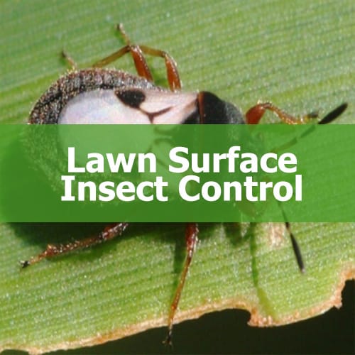 Special Services Green Top Lawn Care