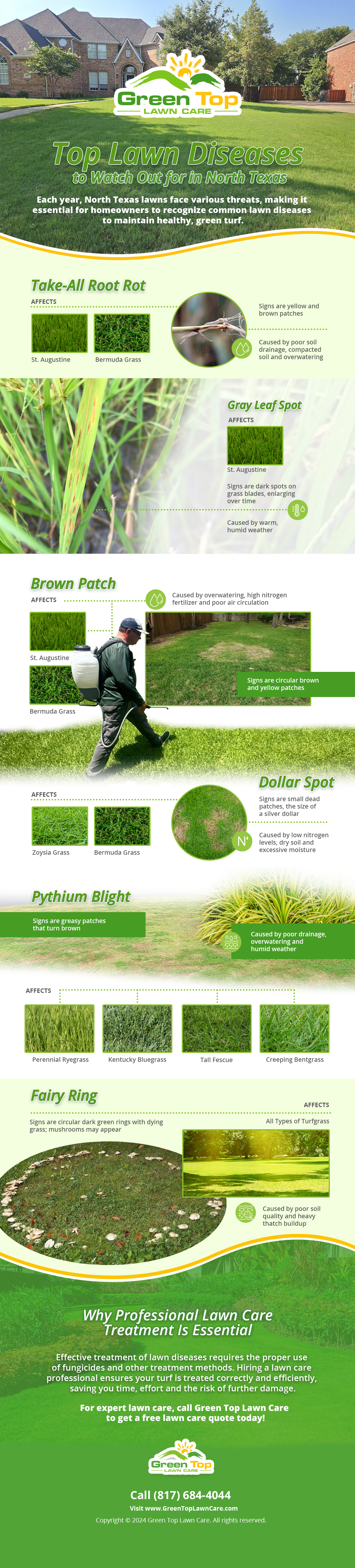 Top lawn diseases in North Texas to watch out for.