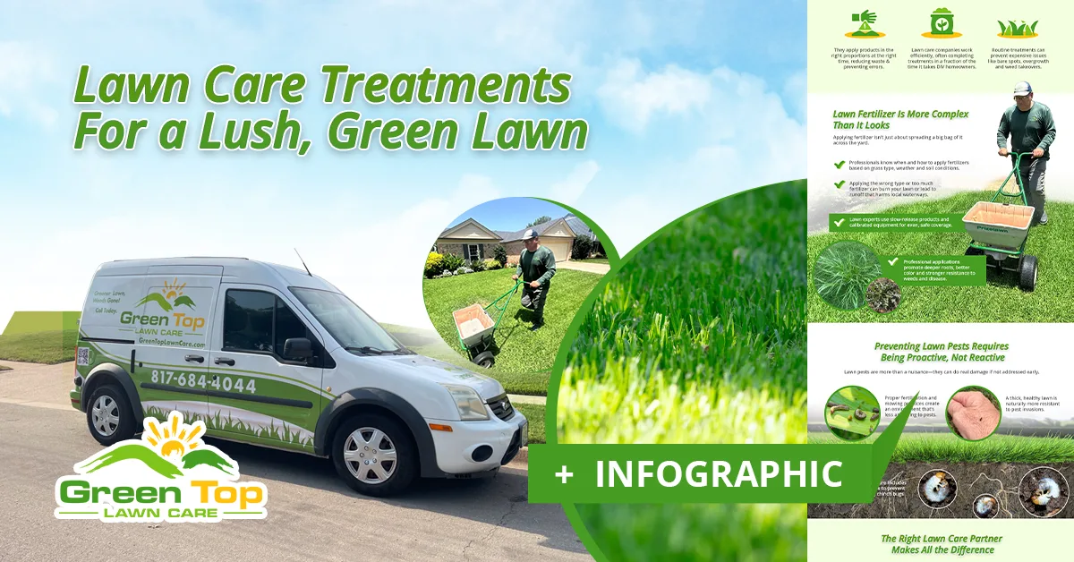 Healthy Lawn Full Website (Copy, 234 selected)