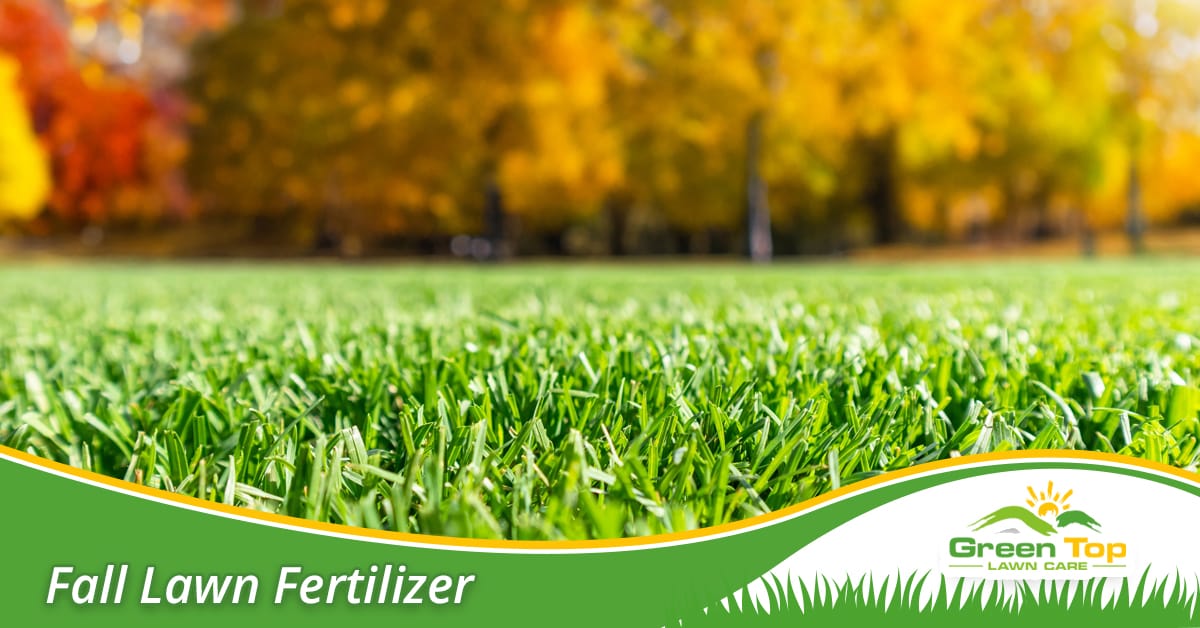 Fall lawn fertilizer treatment in Euless, TX.