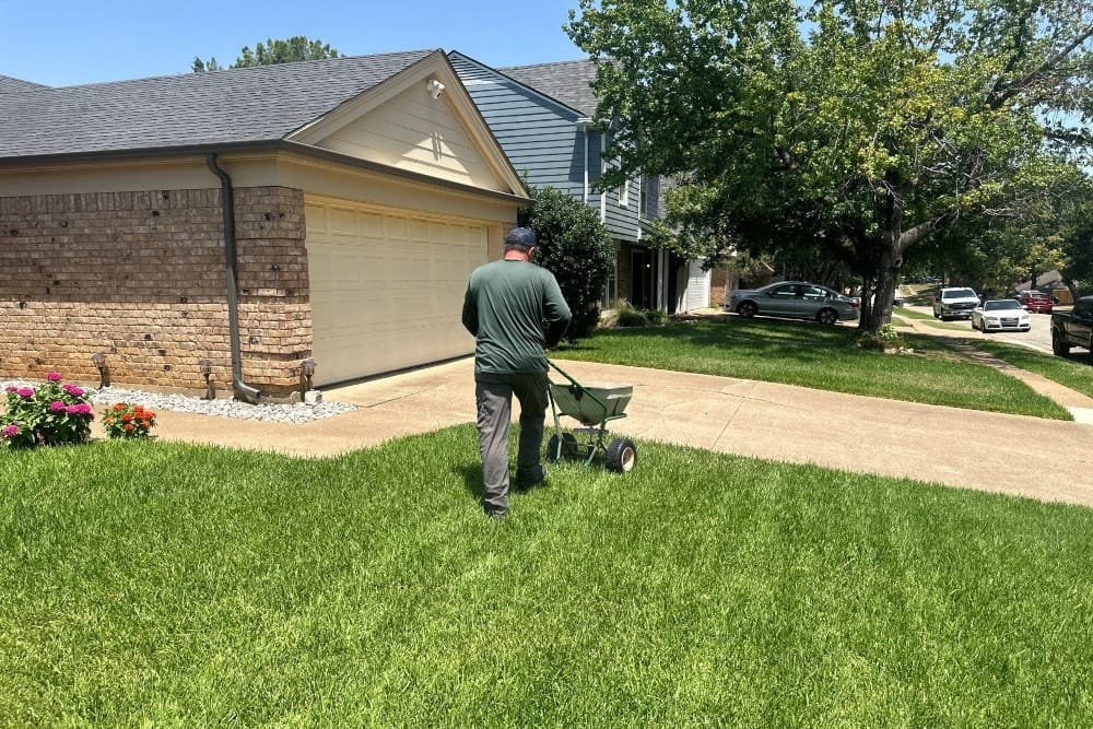 Tarrant County fall fertilization service.