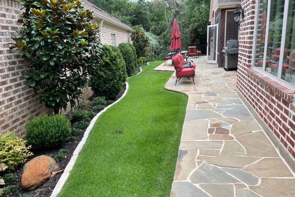 Tarrant County tree and shrub care.
