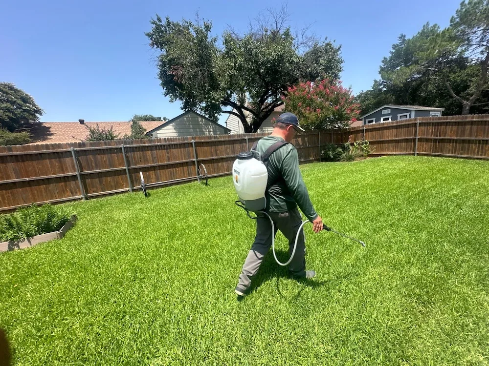 Seasonal lawn care in Tarrant County.