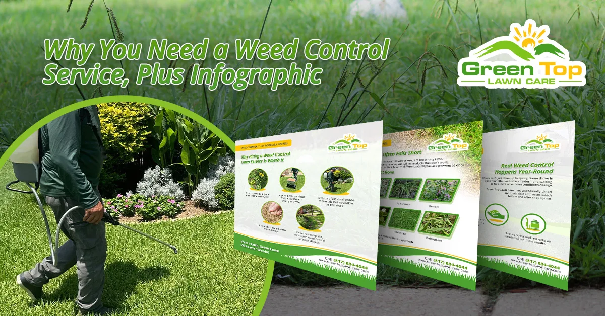 Professional weed control infographic.
