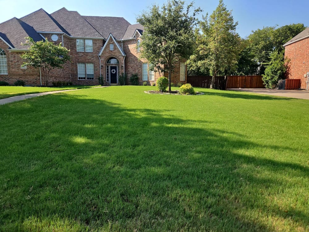 Tarrant County lawn weed control.