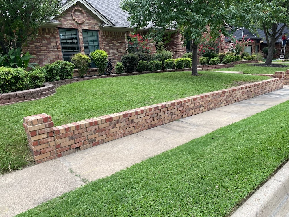 Tree and shrub seasonal care in North Texas.