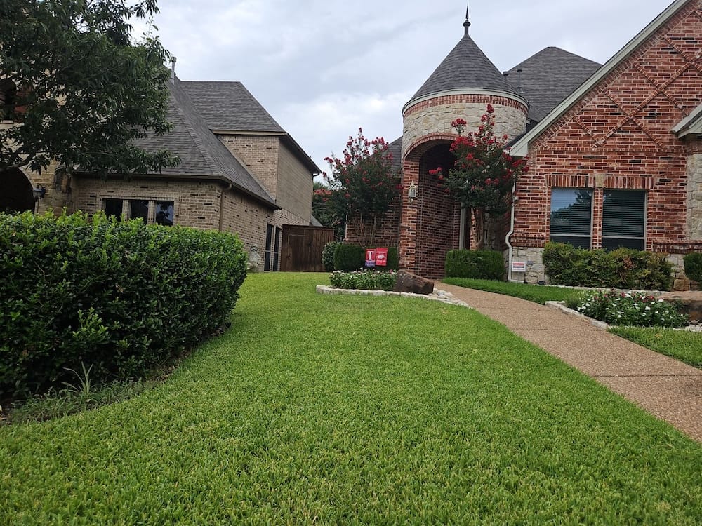 North Texas lawn pests.