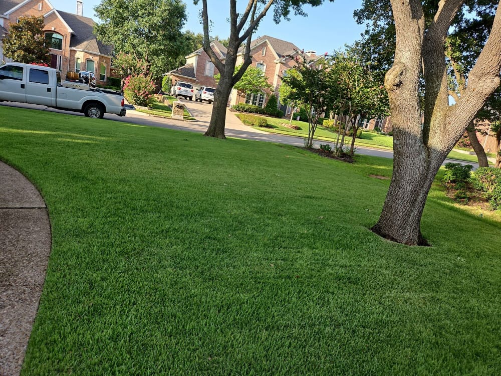 North Texas seasonal lawn disease protection.