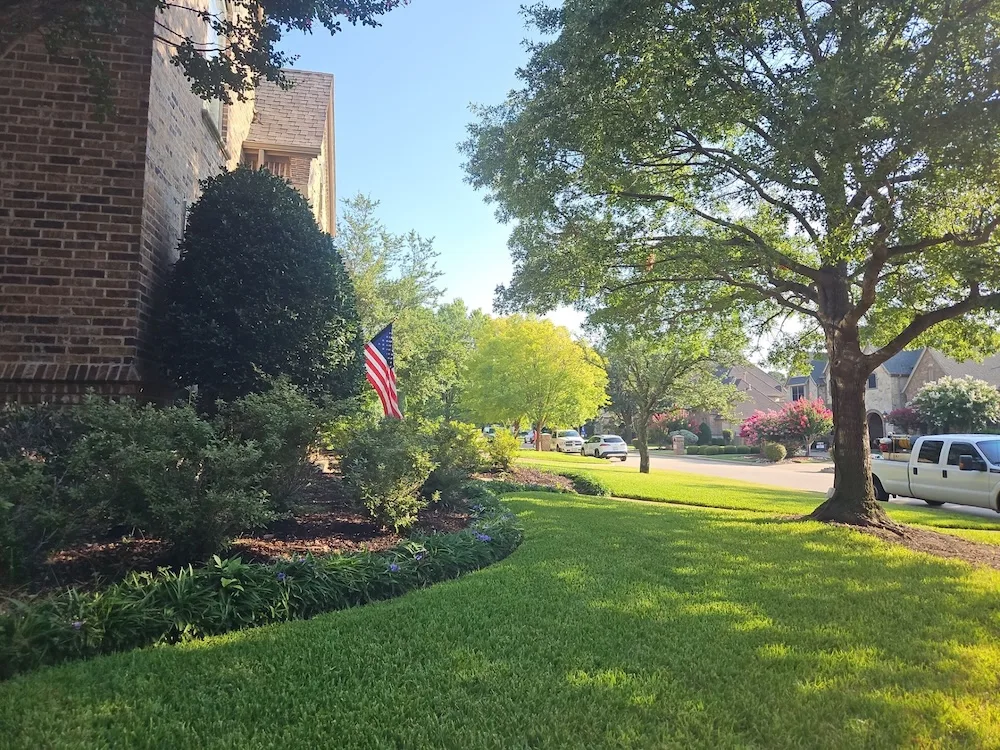 Property owner comparing lawn care service providers.