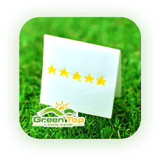 Green Top Lawn Care’s customer reviews page for trusted lawn care services.