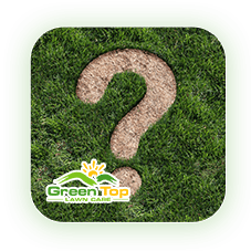 Green Top Lawn Care’s FAQ page about lawn maintenance and grass care services.