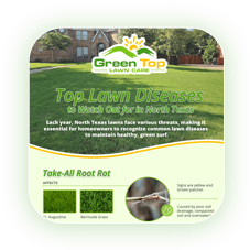 Green Top Lawn Care’s lawn disease guide for identifying and preventing turf diseases.