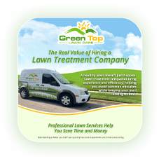 Green Top Lawn Care’s lawn treatment company benefits resource page for professional lawn services.