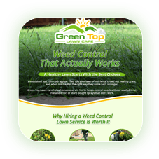 Green Top Lawn Care’s professional weed control resource page for healthy lawns.