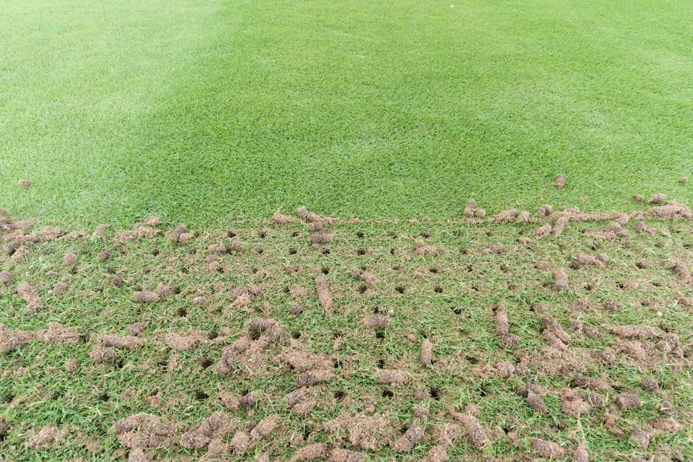 Professional spring lawn aeration services.