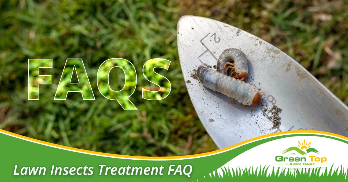 Lawn insect treatment solutions.