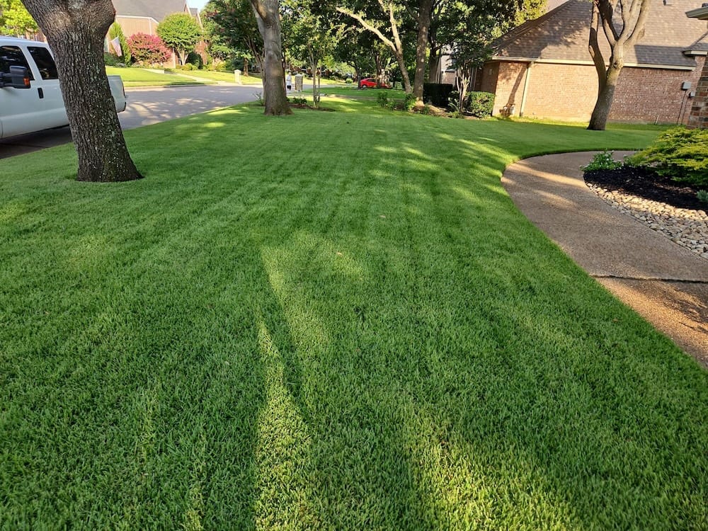 Professional lawn care providing seasonal protection.