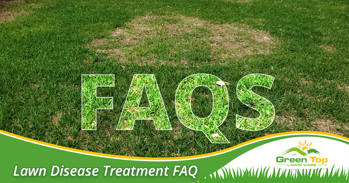 Professional lawn disease and prevention tips.