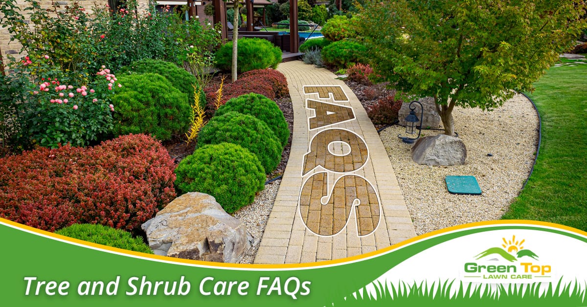 Tarrant County tree and shrub care guide.