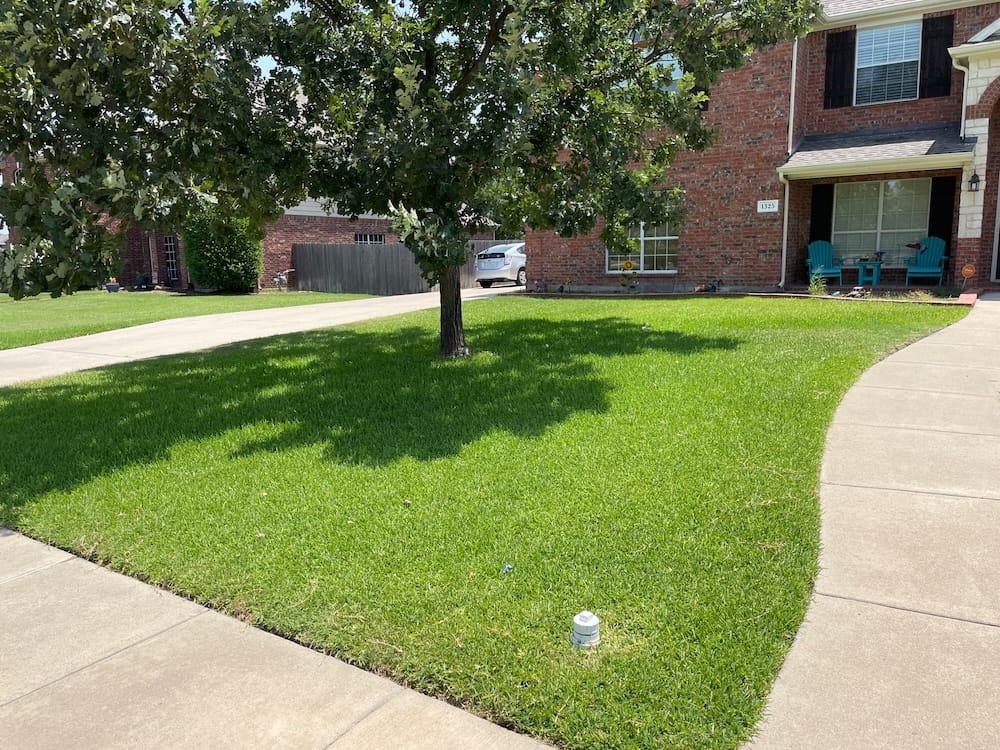 Professional lawn care services in Tarrant County.