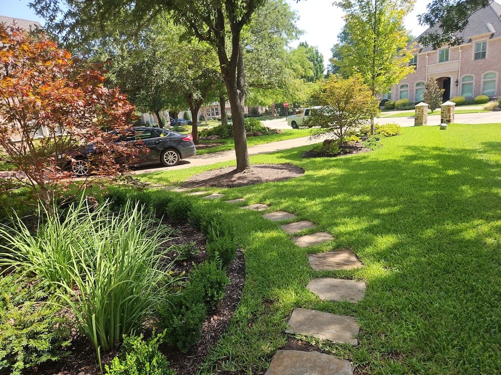 Professional lawn care services in Tarrant County.
