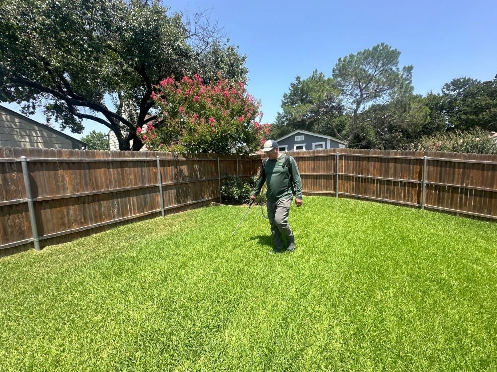 Professional seasonal turf insect treatments.