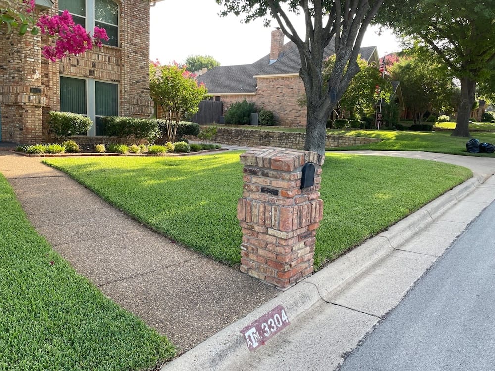 North Texas summer lawn weed management.