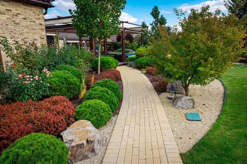 Professional tree care in Tarrant County.