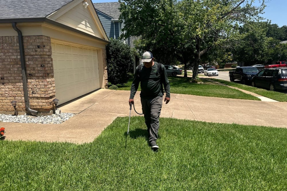 Professional turf insect control in North Texas.