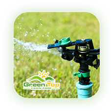 Lawn watering guide icon.